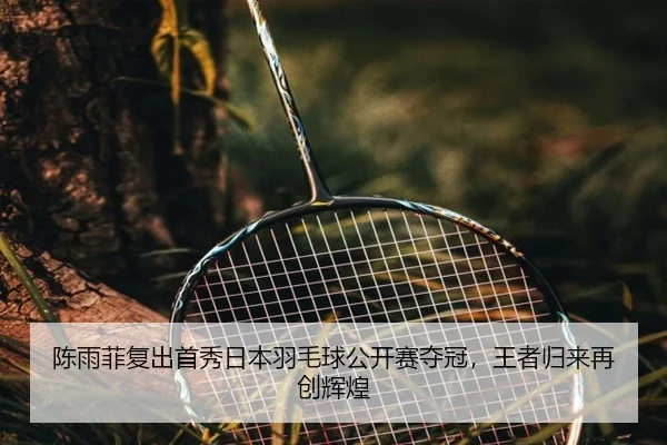 chen-yu-fei-fu-chu-shou-xiu-ri-ben-yu-mao-qiu-gong-kai-sai-duo-guan-wang-zhe-gui-lai-zai-chuang-hui-huang-2-931.jpg